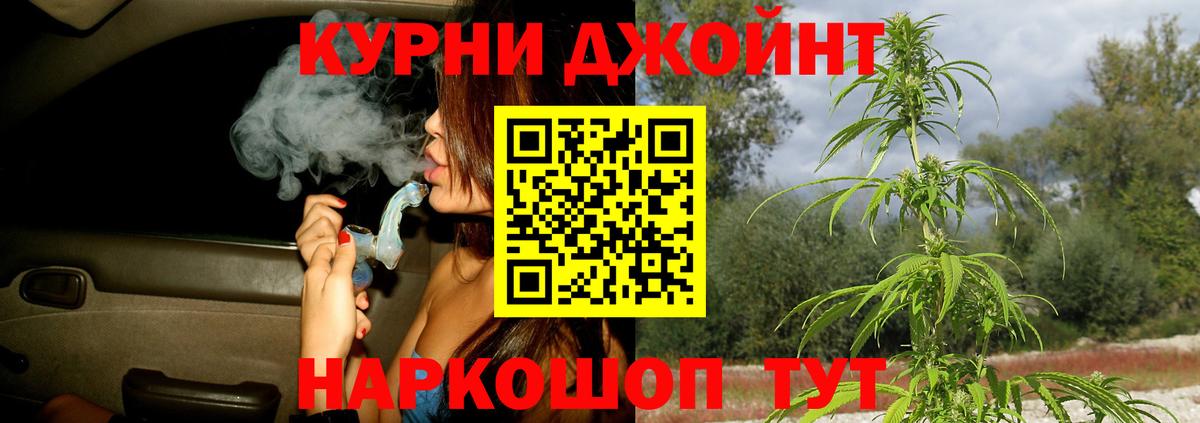 Бошки Шишки план Отрадный